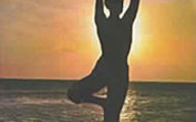 Neue Yoga-Kurse