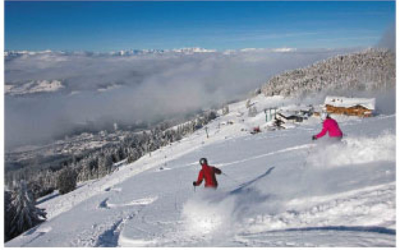 Skifahrt nach Scheffau